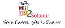 gift2solapur.com